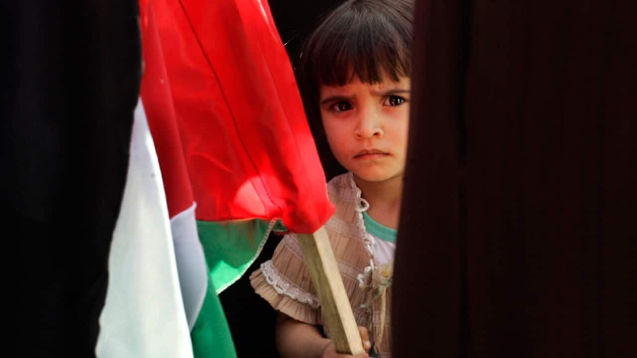 palestinian_flag_girl_110124_B_aap_663164413