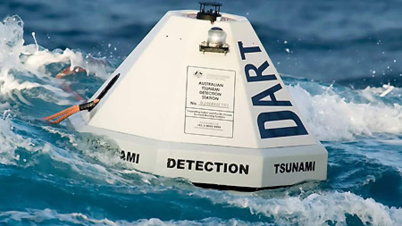 Tsunami bouy
