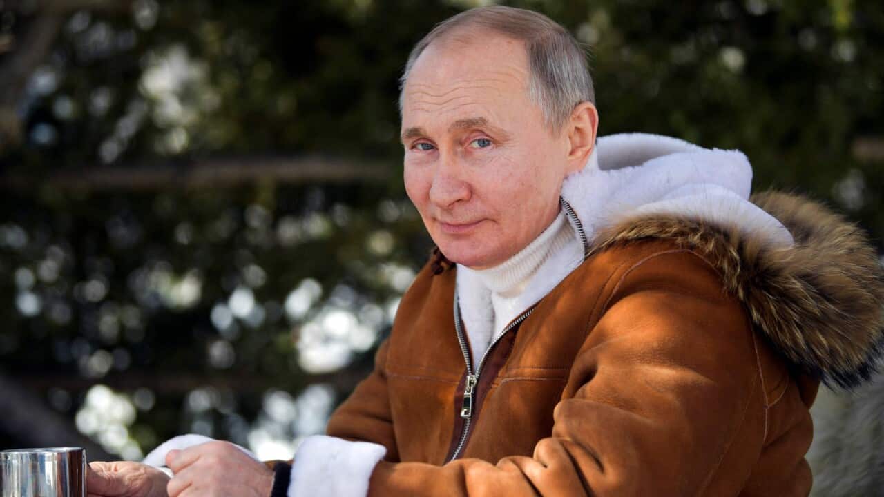 Russian President Vladimir Putin looks at a photographer in a taiga forest in Russia's Siberian region