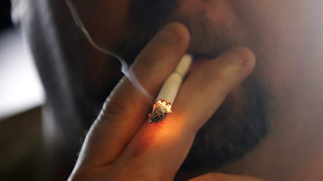Smoking heightens the risk of 12 cancer types (AAP)
