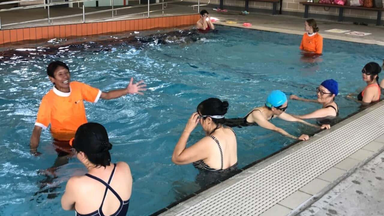 Image for read more article ''