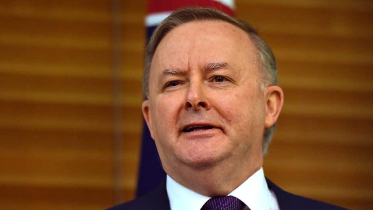 Leader of the Opposition Anthony Albanese.