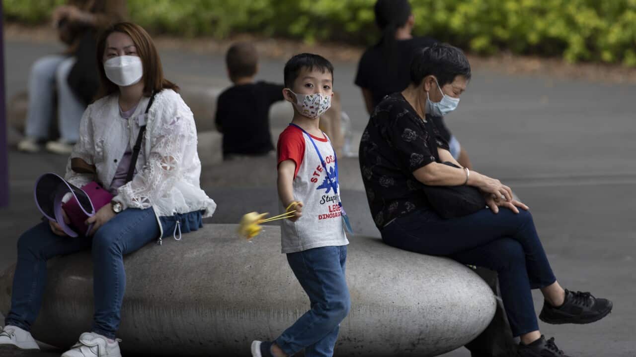 Visitors wearing medical face masks sit outside Gardens by the Bay, a popular tourist spot, in Singapore, 06 March 2020.