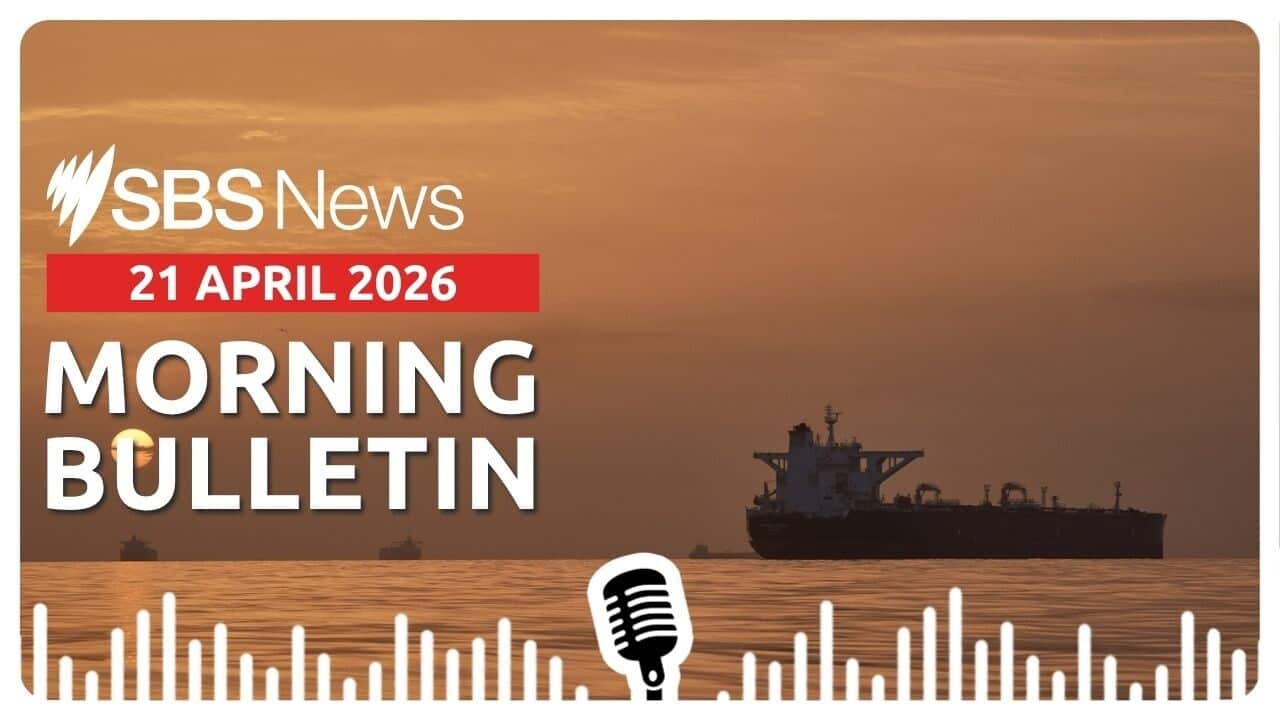 Morning bulletin image 21 April 2026.jpg