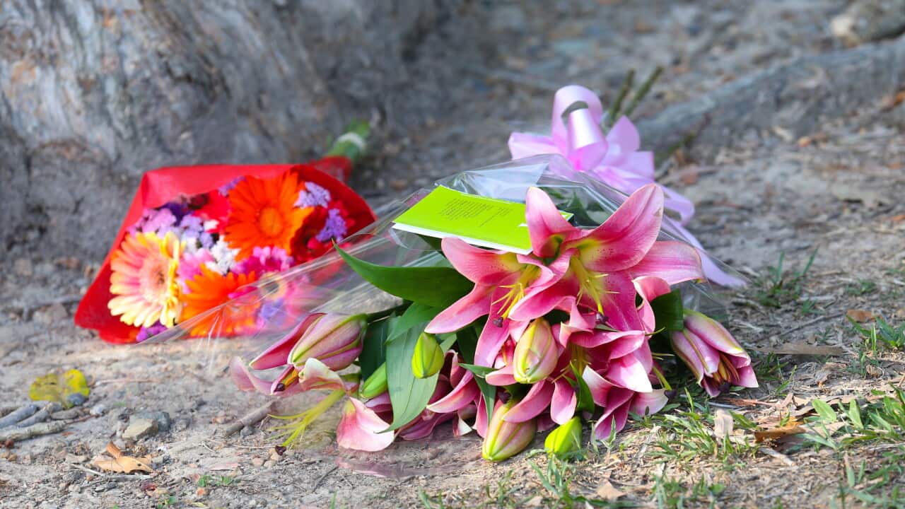 Flowers left at the scene after eight children were found stabbed to death at a house in Manoora near Cairns, Friday, Dec. 19, 2014.