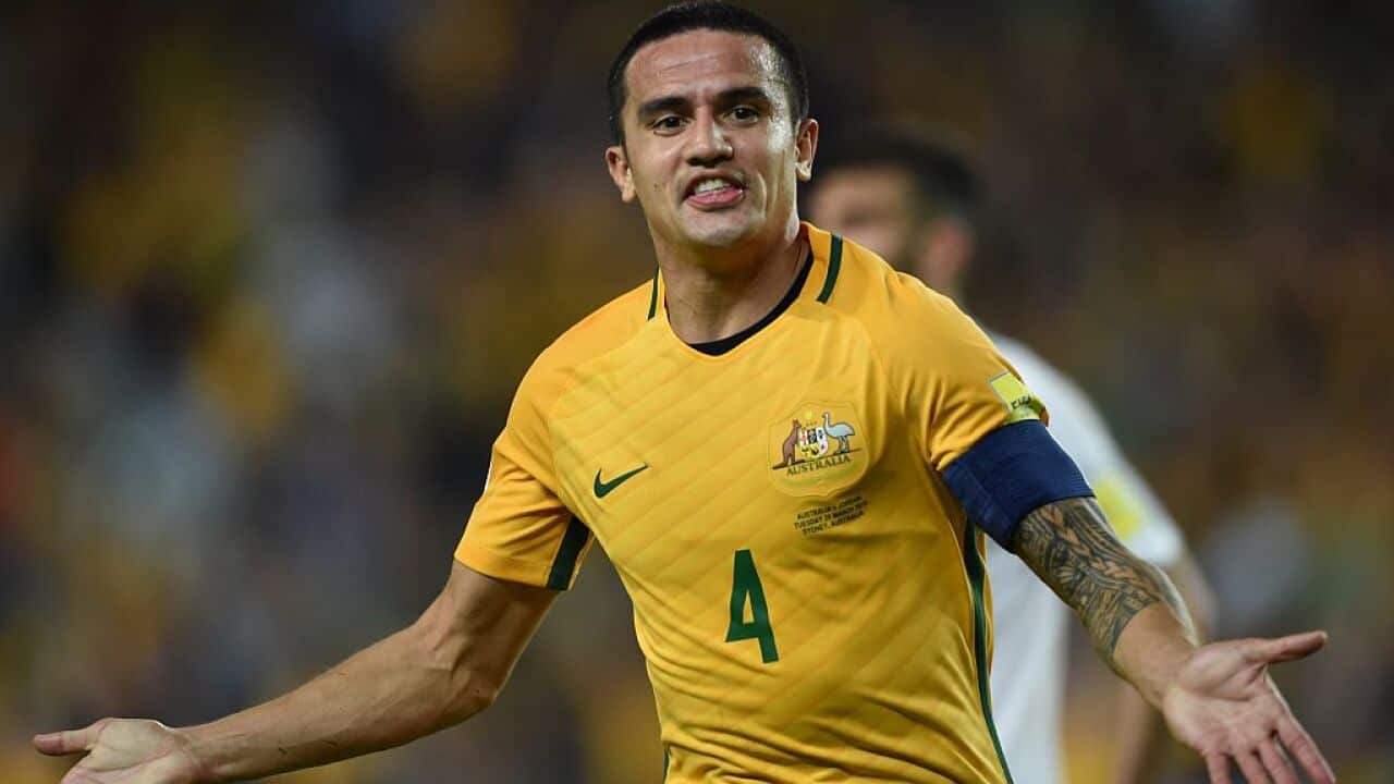 Tim Cahill