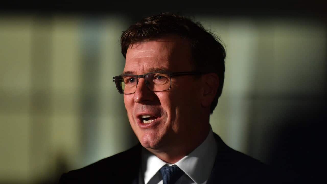 Acting Minister for Immigration Alan Tudge.