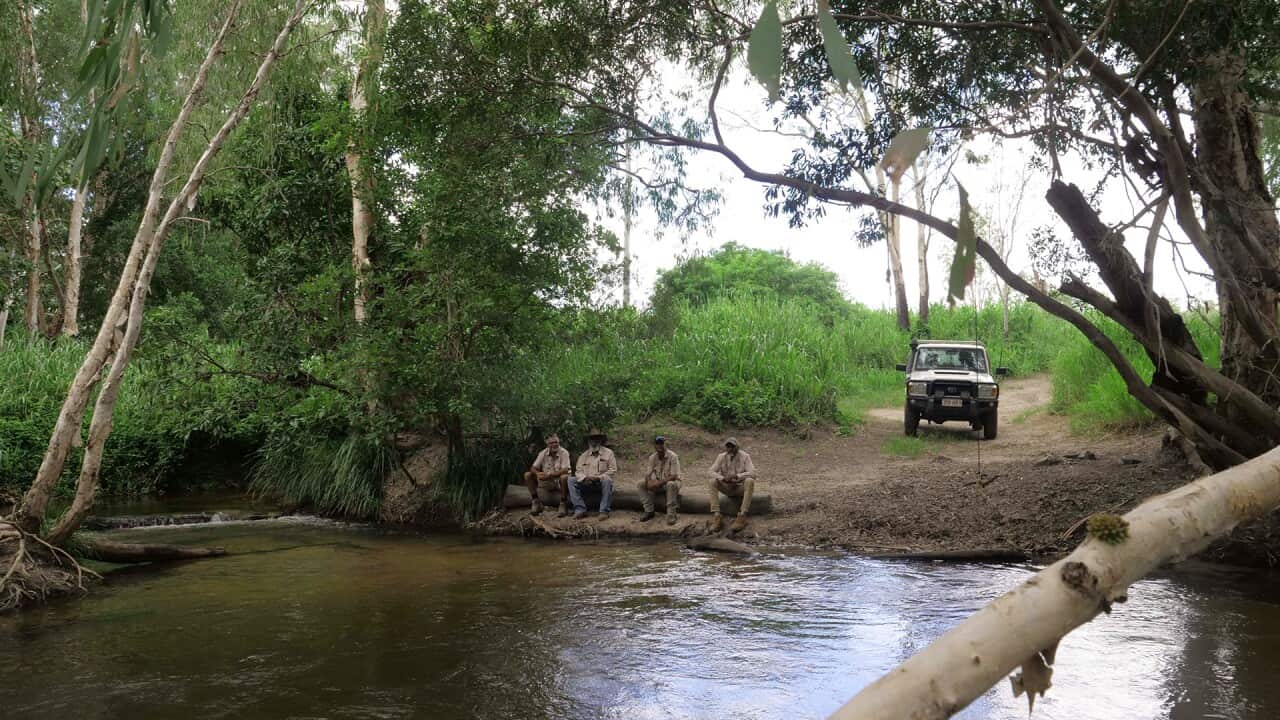 Guardian of Language and Country Western Kuku YalanjiNotxt.jpg