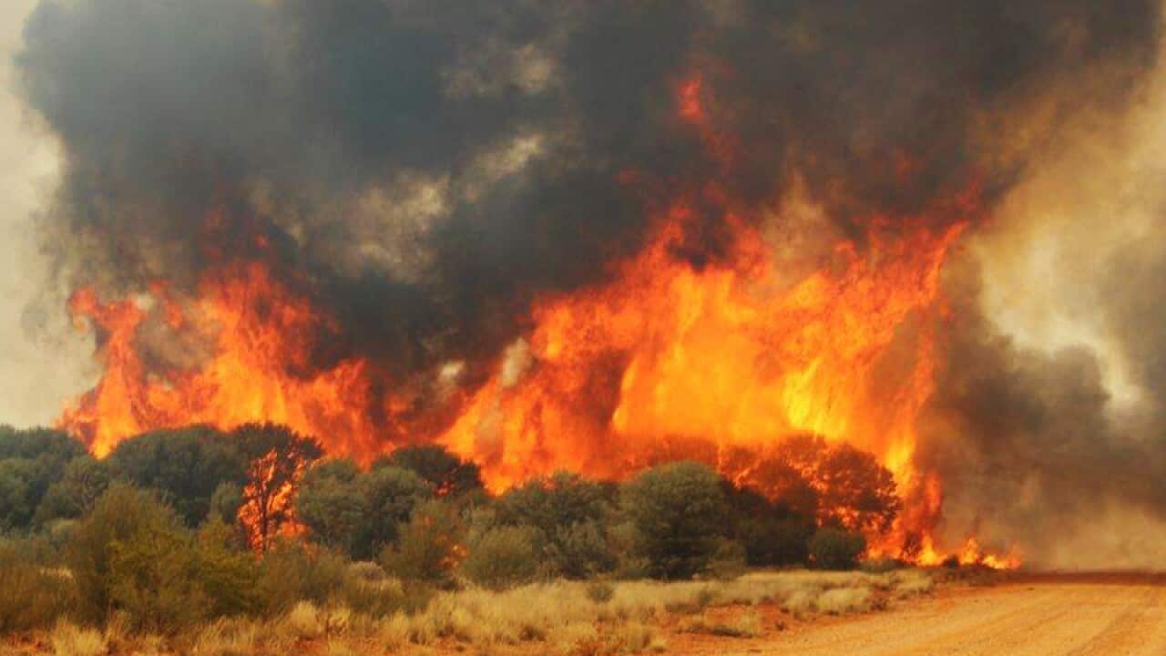 Qld braces for worse fire conditions
