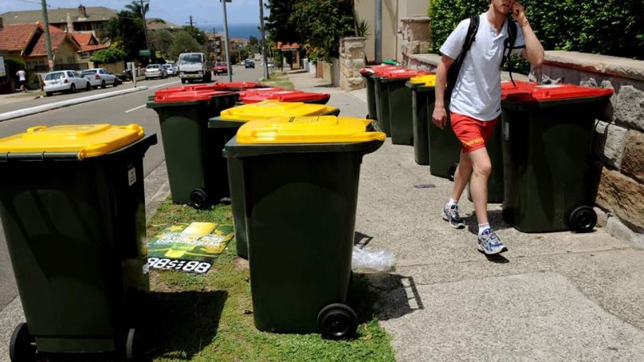 Recycling bins sit with general waste bins on the roadside