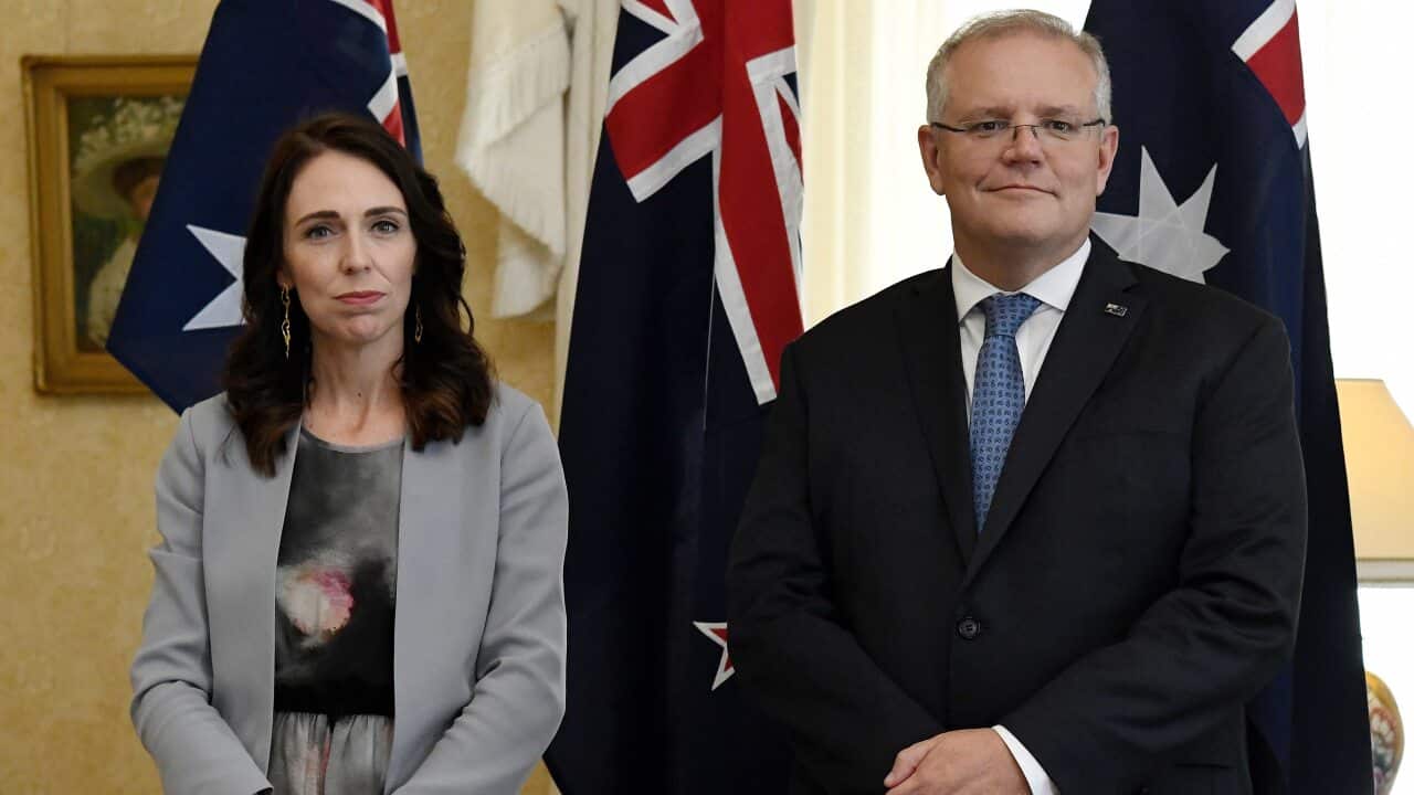 NZ Prime Minister Jacinda Ardern joins Australian PM Scott Morrison in Tuesday's National Cabinet meeting.