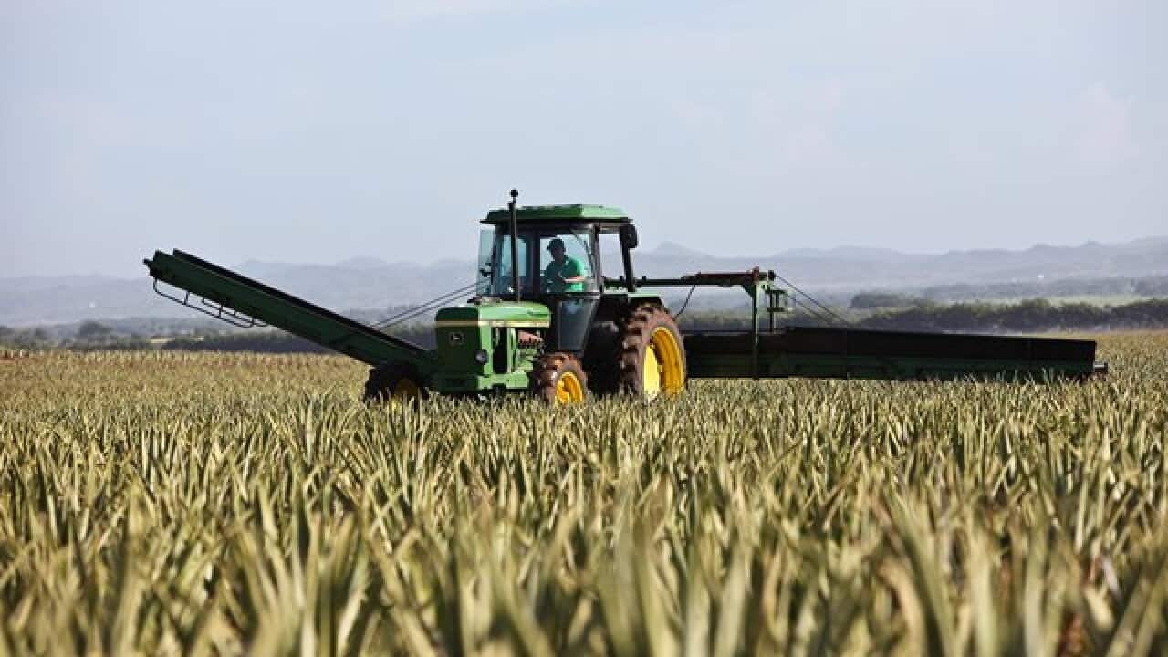 Tractor on a field