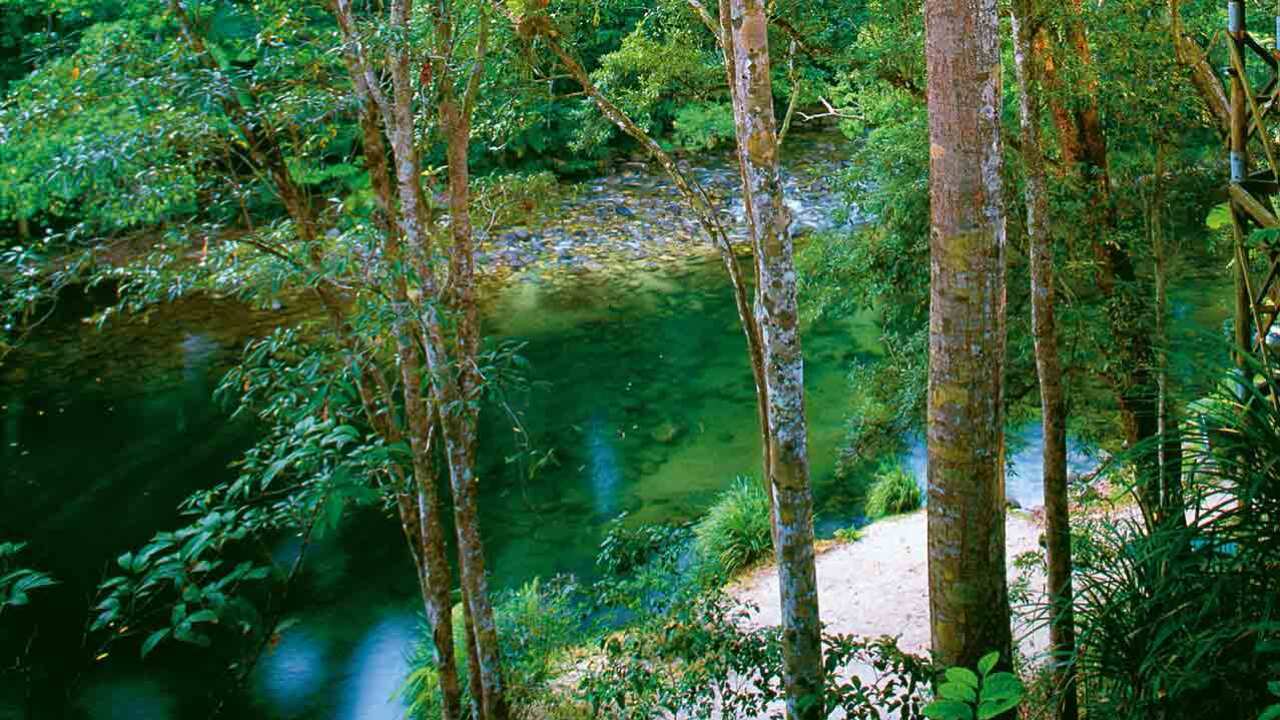Authorities have confirmed that a search is on in the Daintree National Park to track down suspected asylum seekers.