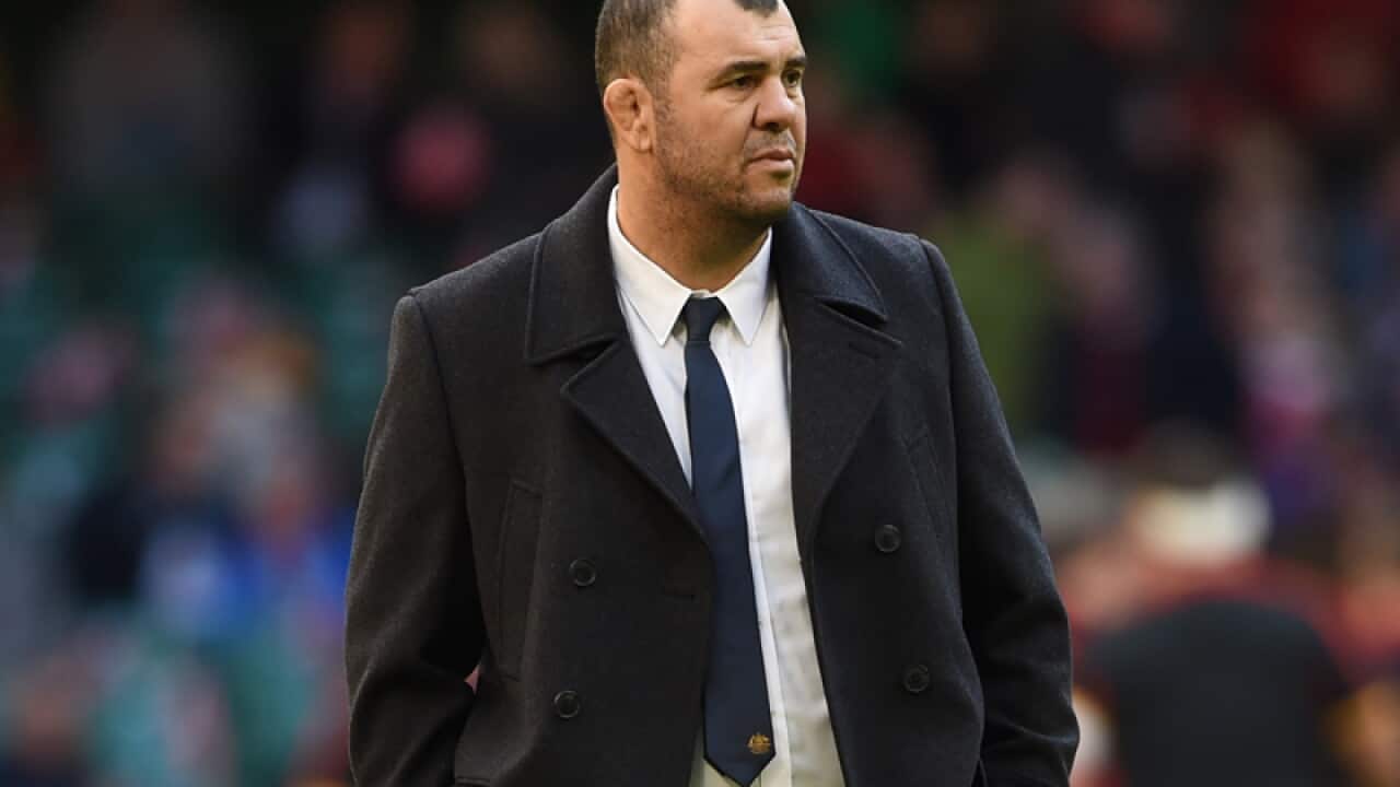 Michael Cheika, Australia head coach
