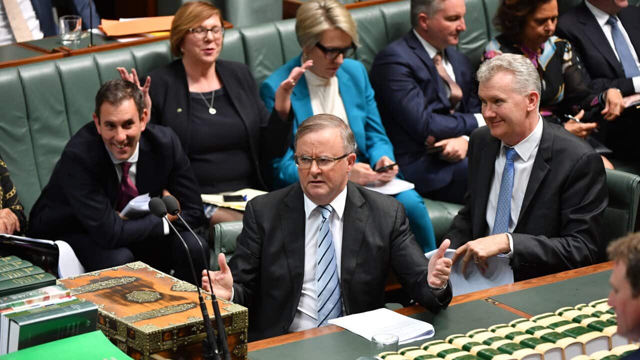 Labor is calling for a royal commission into veteran suicide.