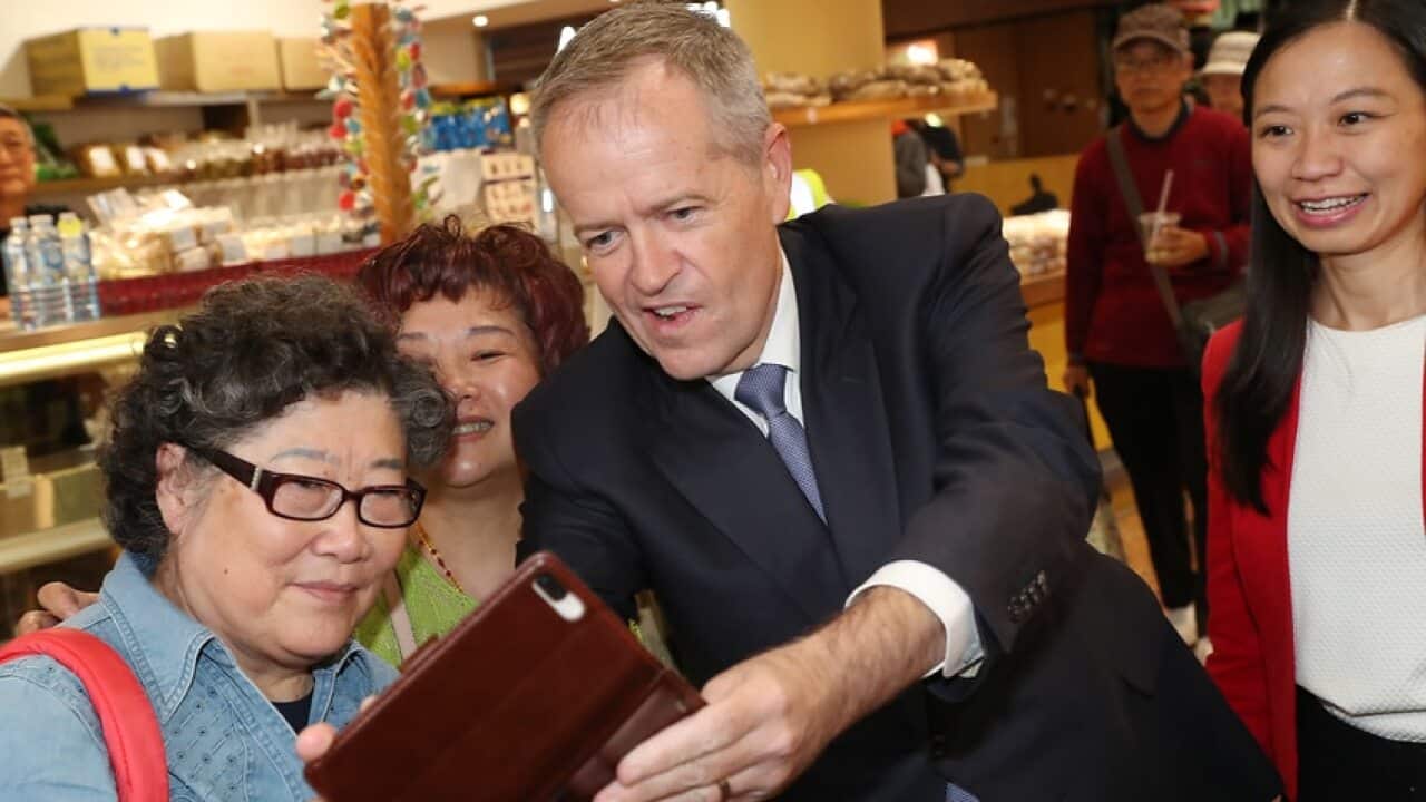 Labor to slash parent visa fees in pitch to migrant families AAP