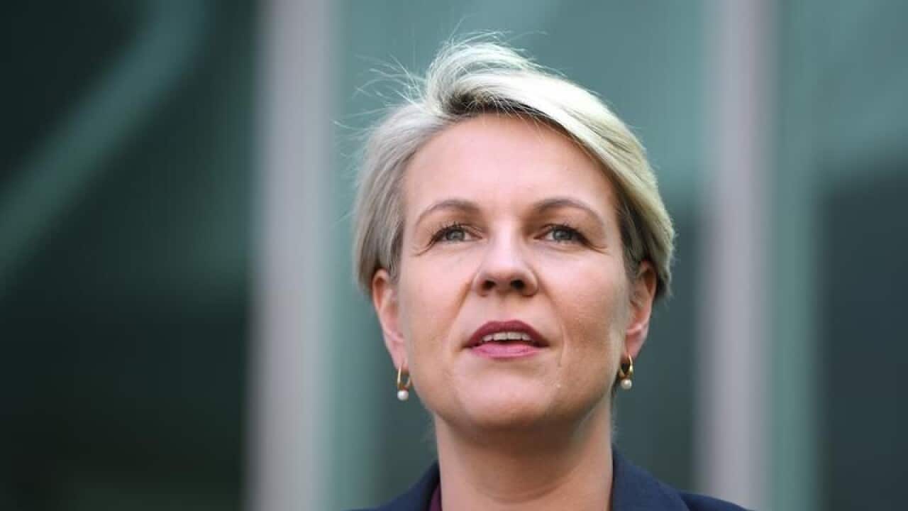 Deputy Labor leader Tanya Plibersek