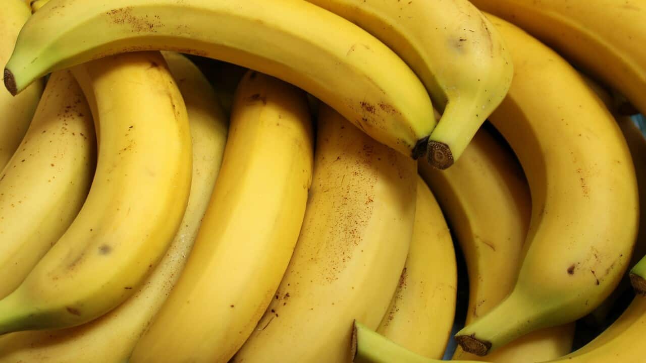 Bananas
