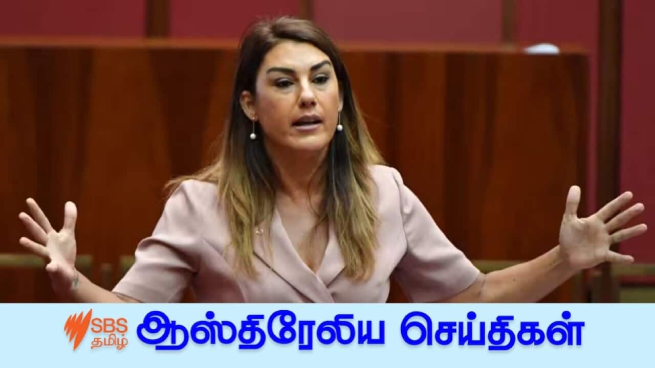 News 22 Mar.jpg