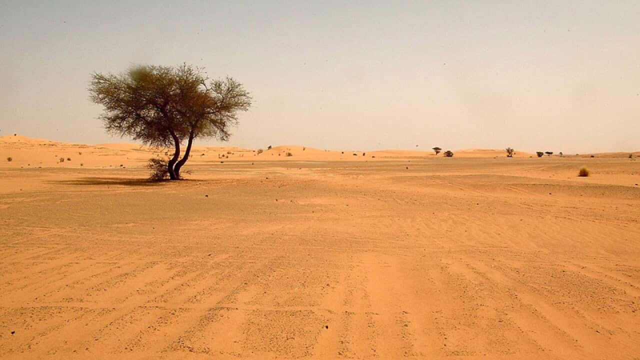 The Sahara desert in southern Algeria