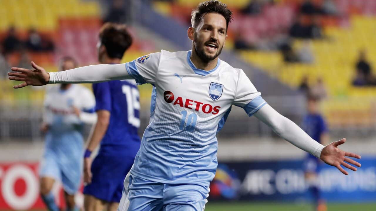 Milos Ninkovic Sydney FC