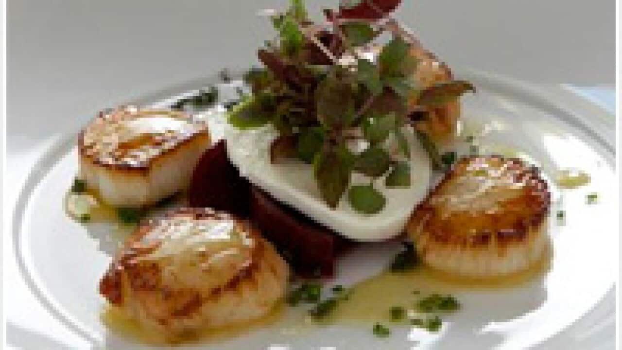 Roast sea scallops, beetroot, buffalo mozzarella, honey and thyme dressing