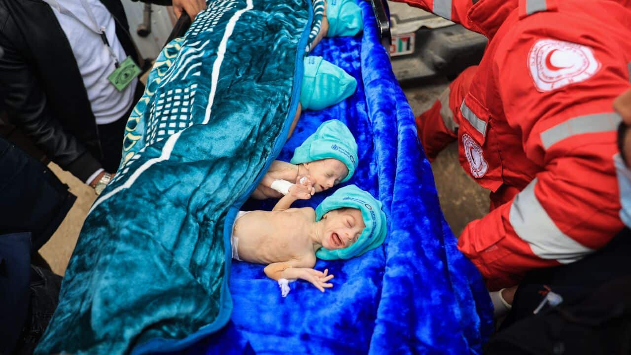 TOPSHOT-PALESTINIAN-ISRAEL-CONFLICT-EGYPT