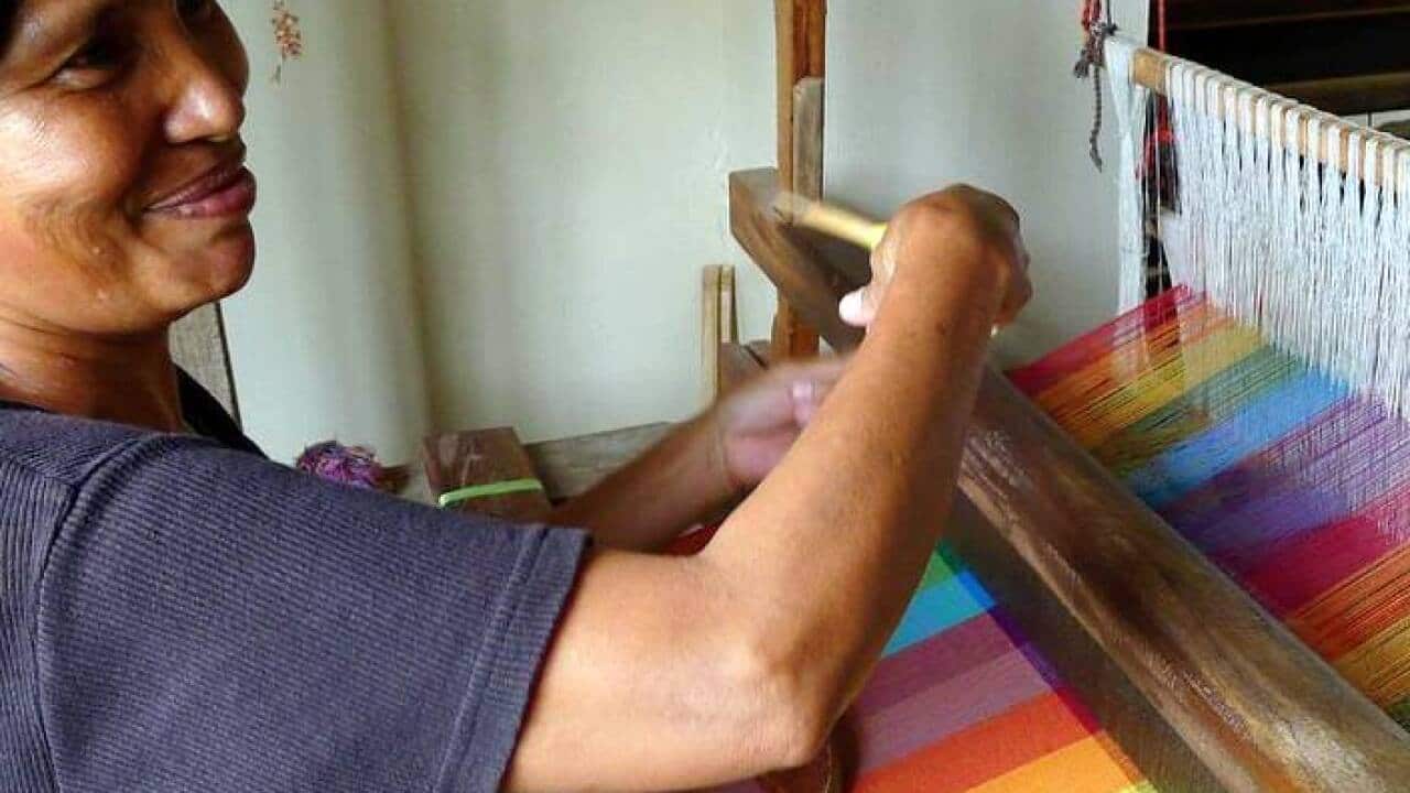 Anthill Fabric Gallery