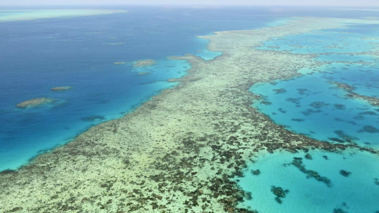 The Great Barrier Reef off the northeastern coast of Australia in December 2017