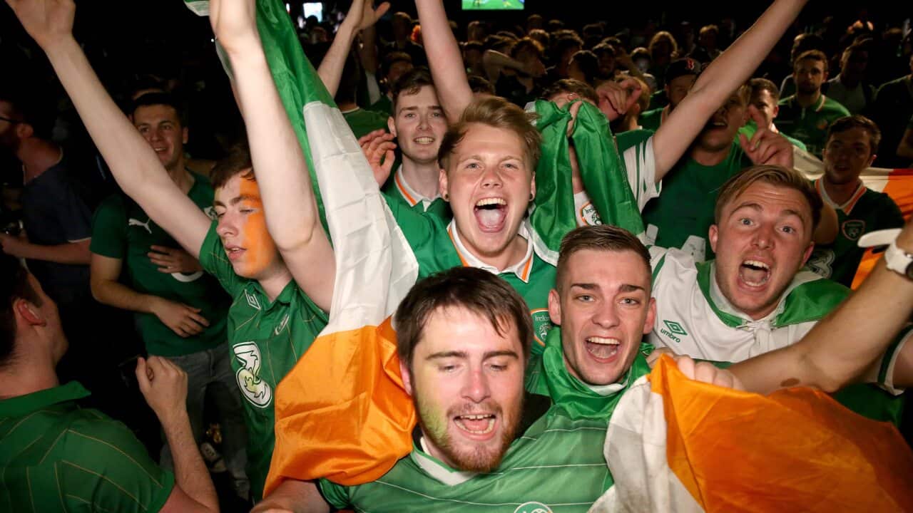 irish fans mob hungarian reporter