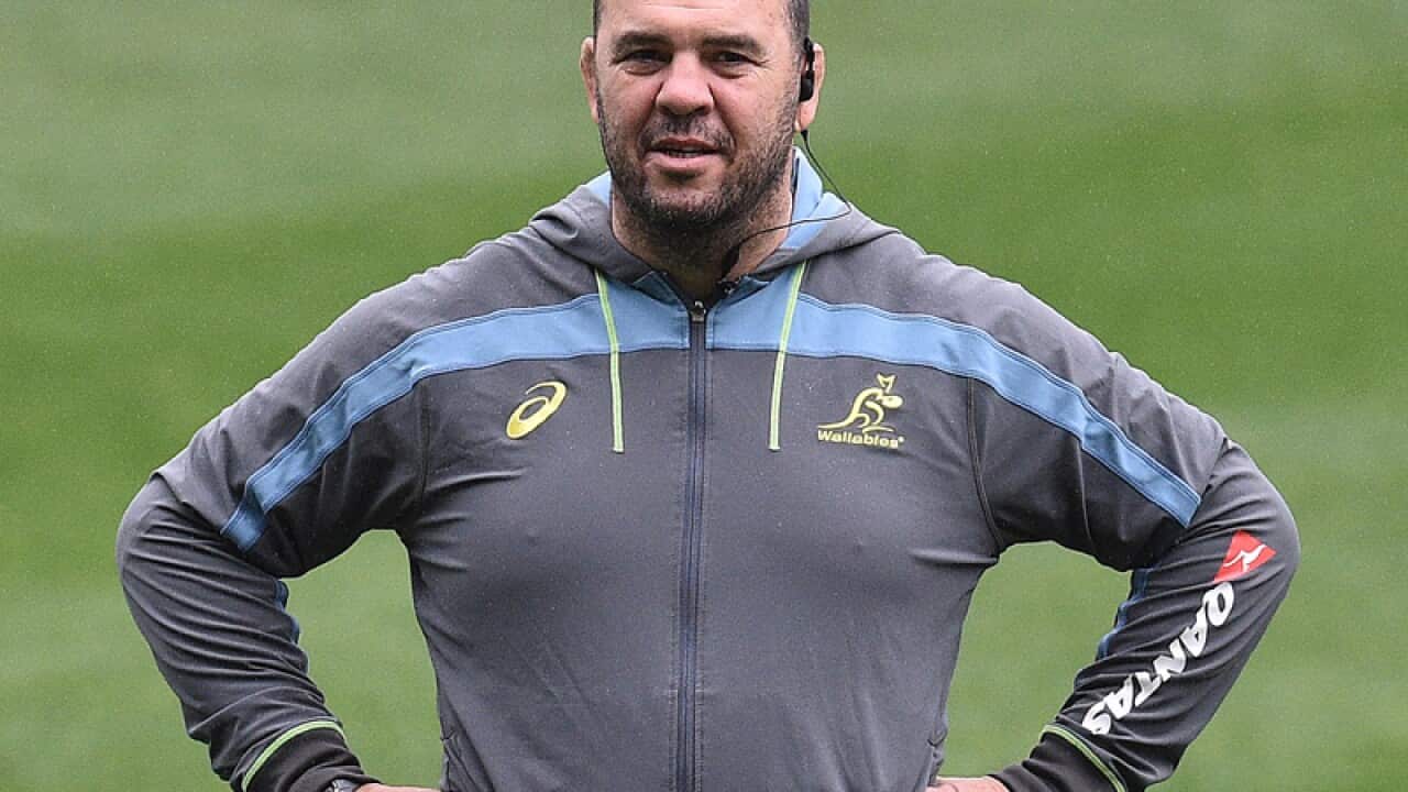 Australian Wallabies coach Michael Cheika