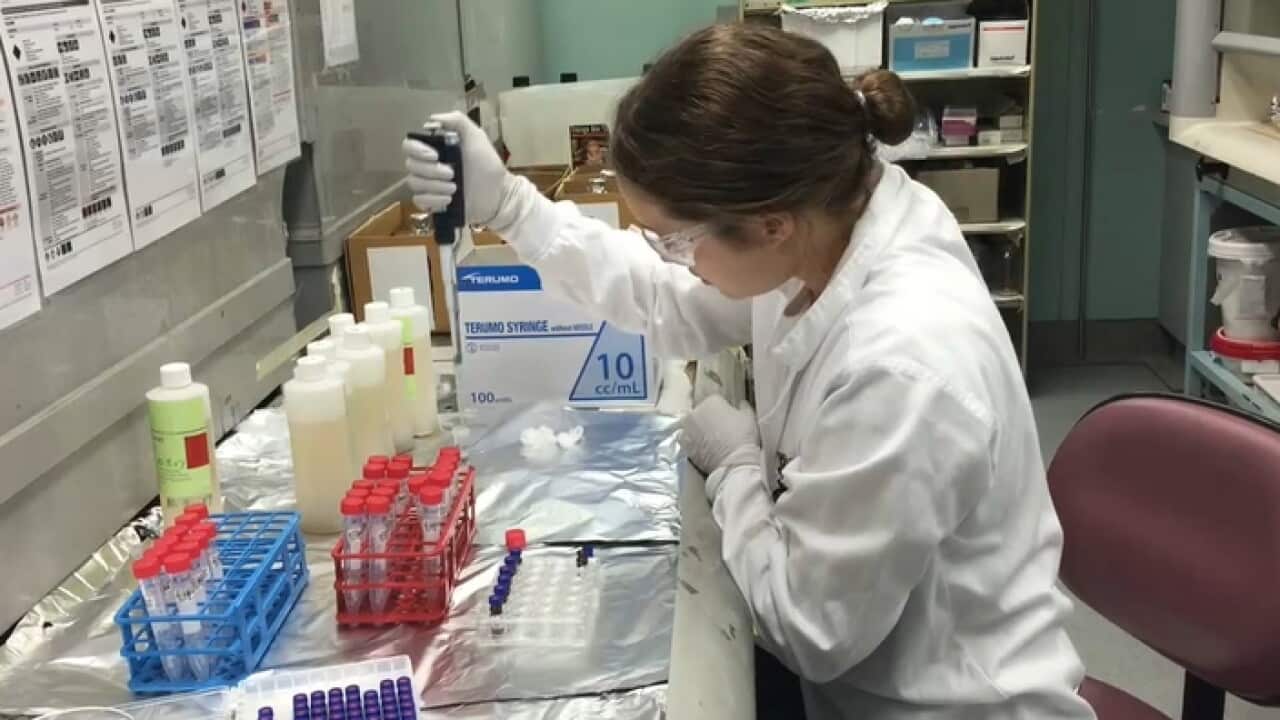 Atık sudan alınan örnekler test ediliyor.