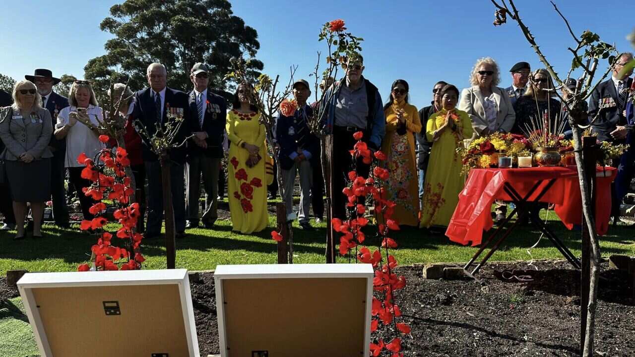 Wollongong Memorial Service 3/8/2023.jpg