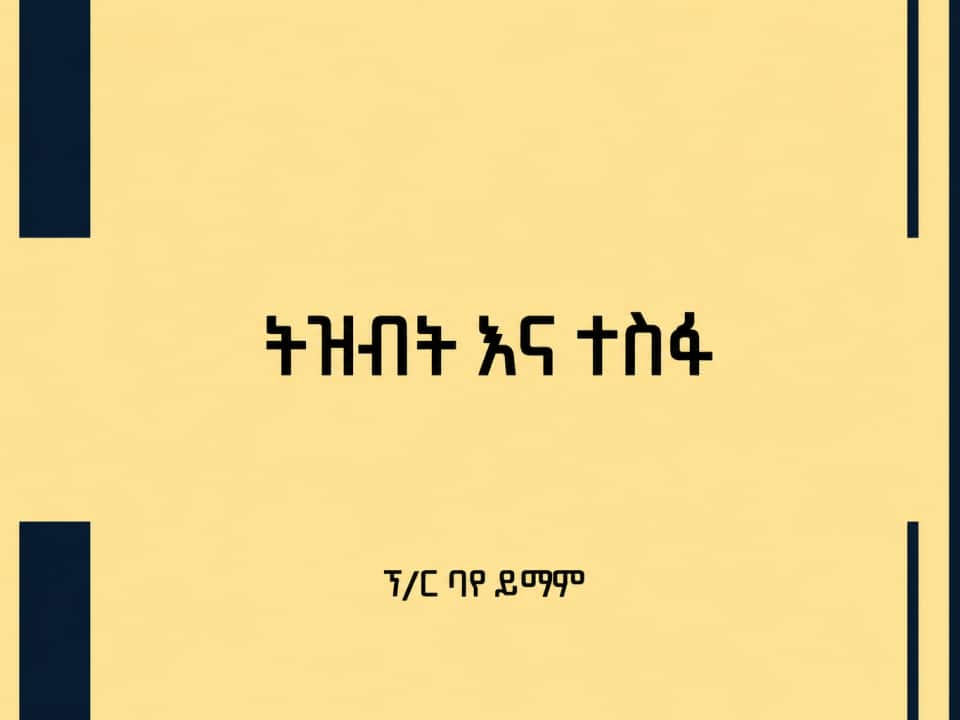 Book cover.png