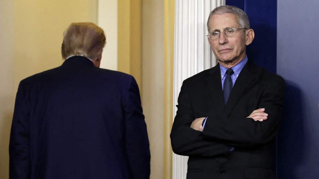 Director of the National Institute of Allergy and Infectious Diseases Dr Anthony Fauci has been targeted by the White House.