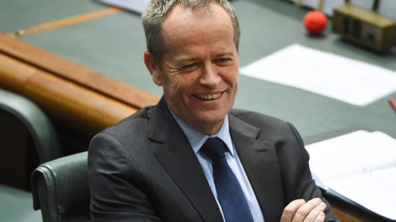Leader of the Opposition Bill Shorten