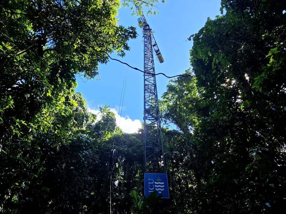 Image 1_DRO crane from below_Credit_JCU.jpg