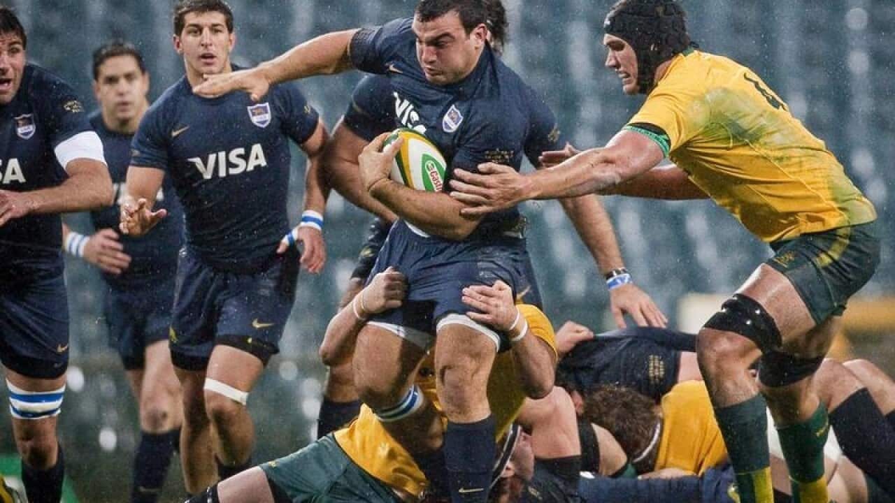 rugby