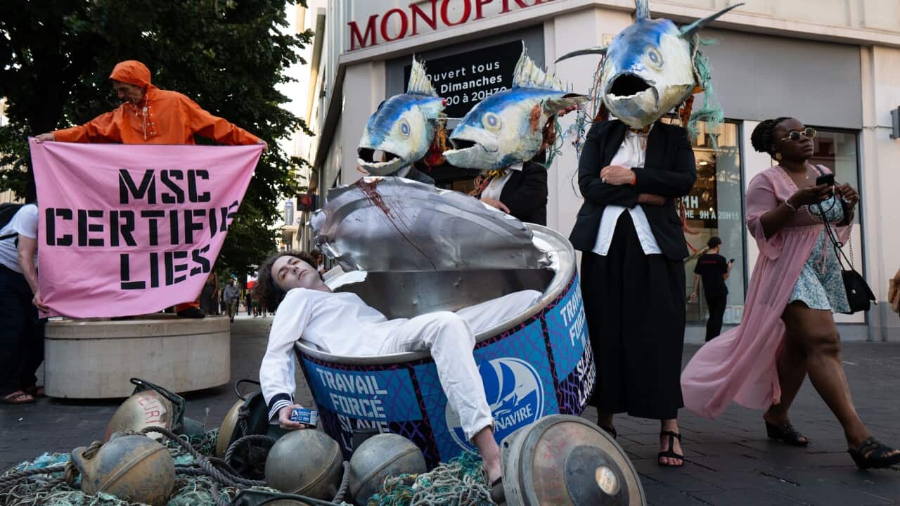 Tuna Protest Staged in Nice