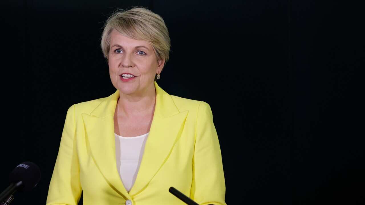TANYA PLIBERSEK PRESSER