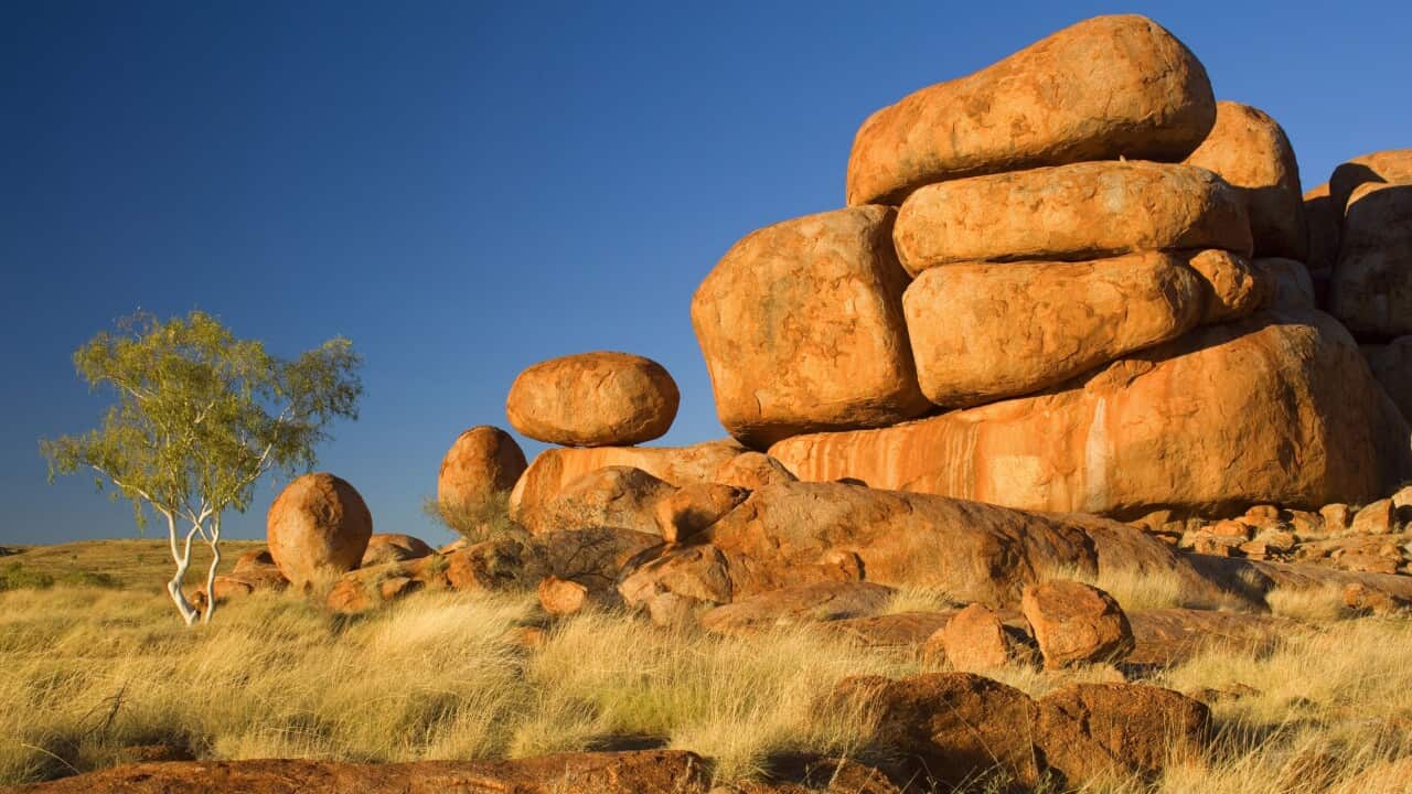 Devils Marbles - a ghost gum tree and three balanced