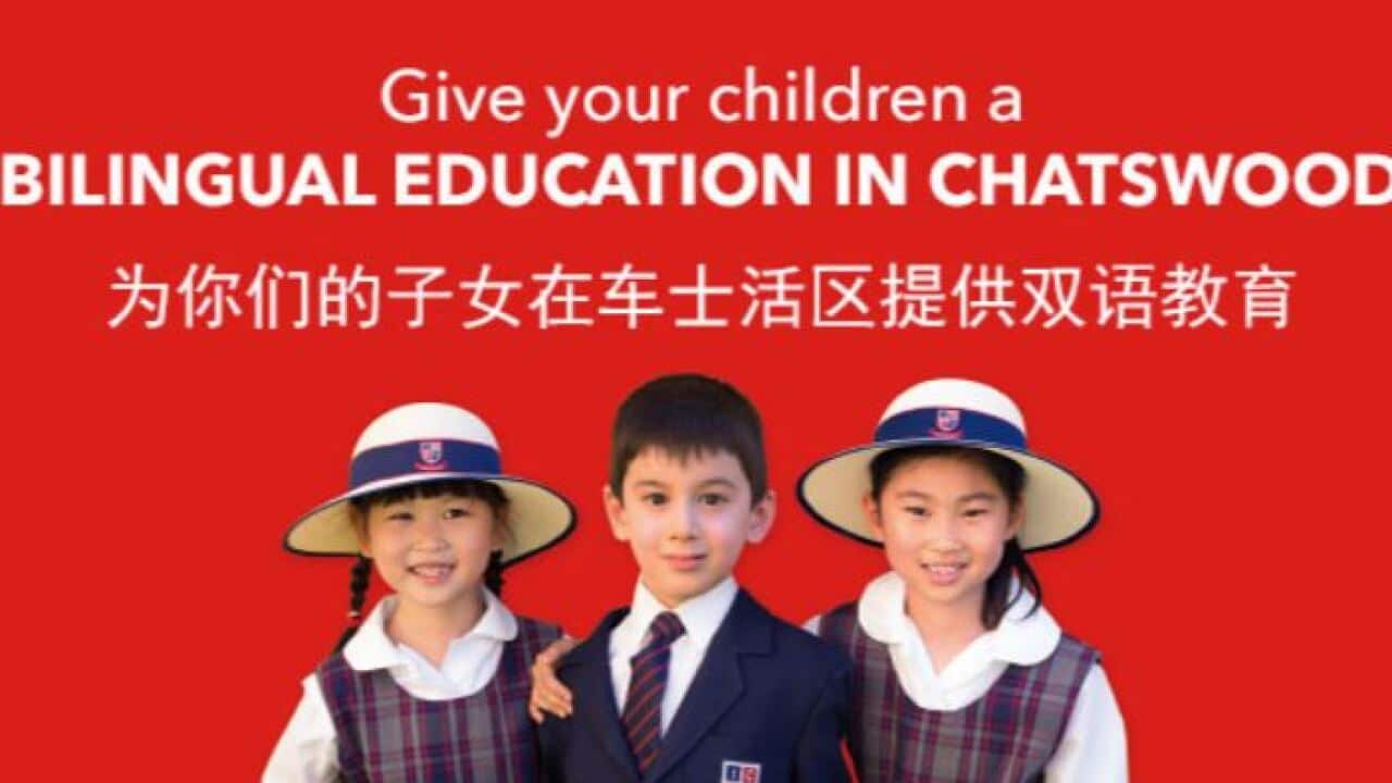Chatswood International Chinese School