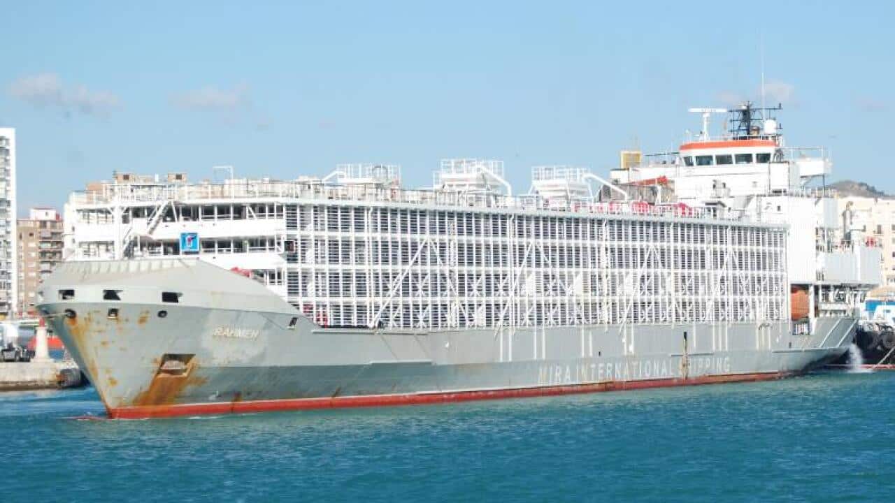 The Gulf Livestock 1 ship is missing off the coast of Japan after strong winds from typhoon Maysak lashed the region.