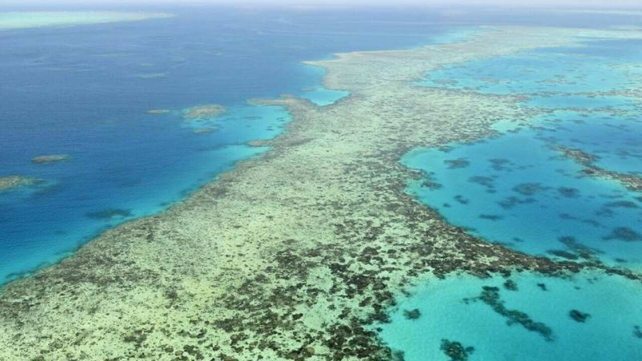 Great Barrier Reef