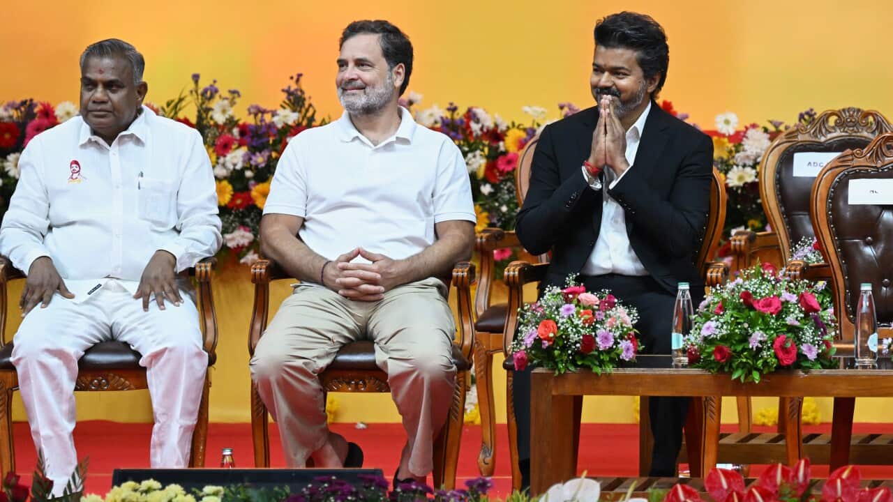 Joseph Vijay,Rahul Gandhi