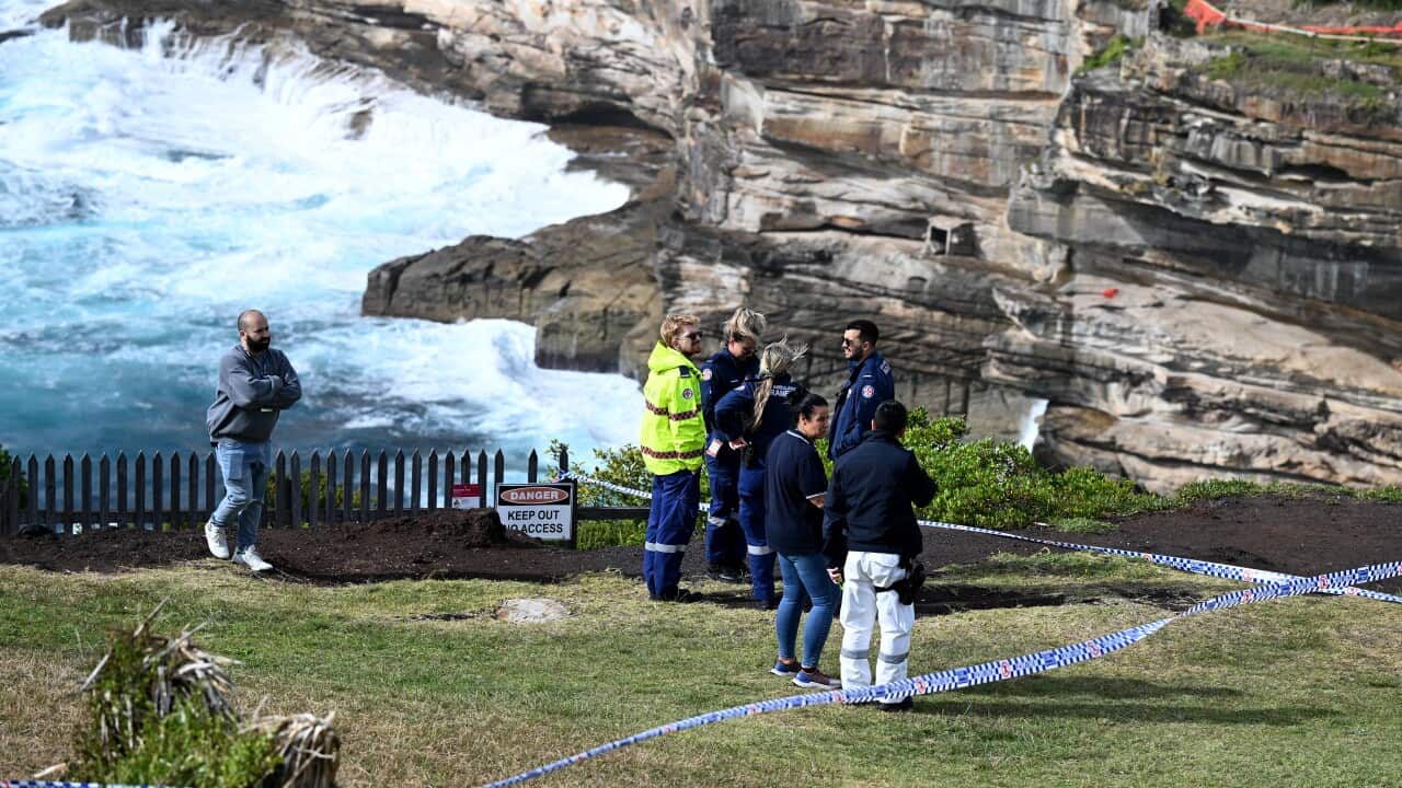 POLICE SEARCH VAUCLUSE