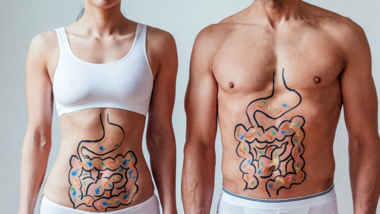 Image for read more article ''