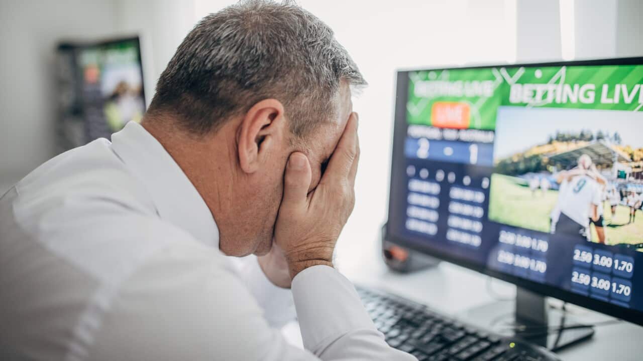 Sports betting using a computer, live betting