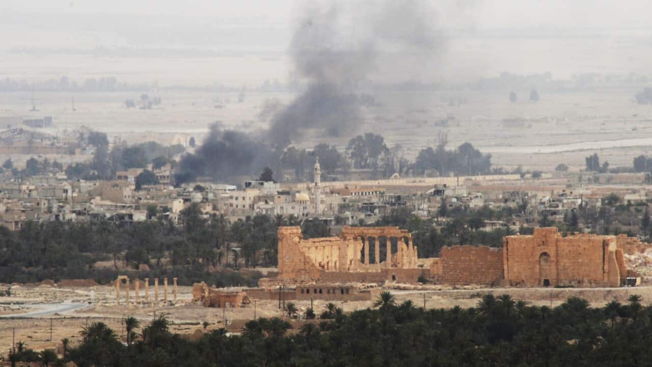 Palmyra