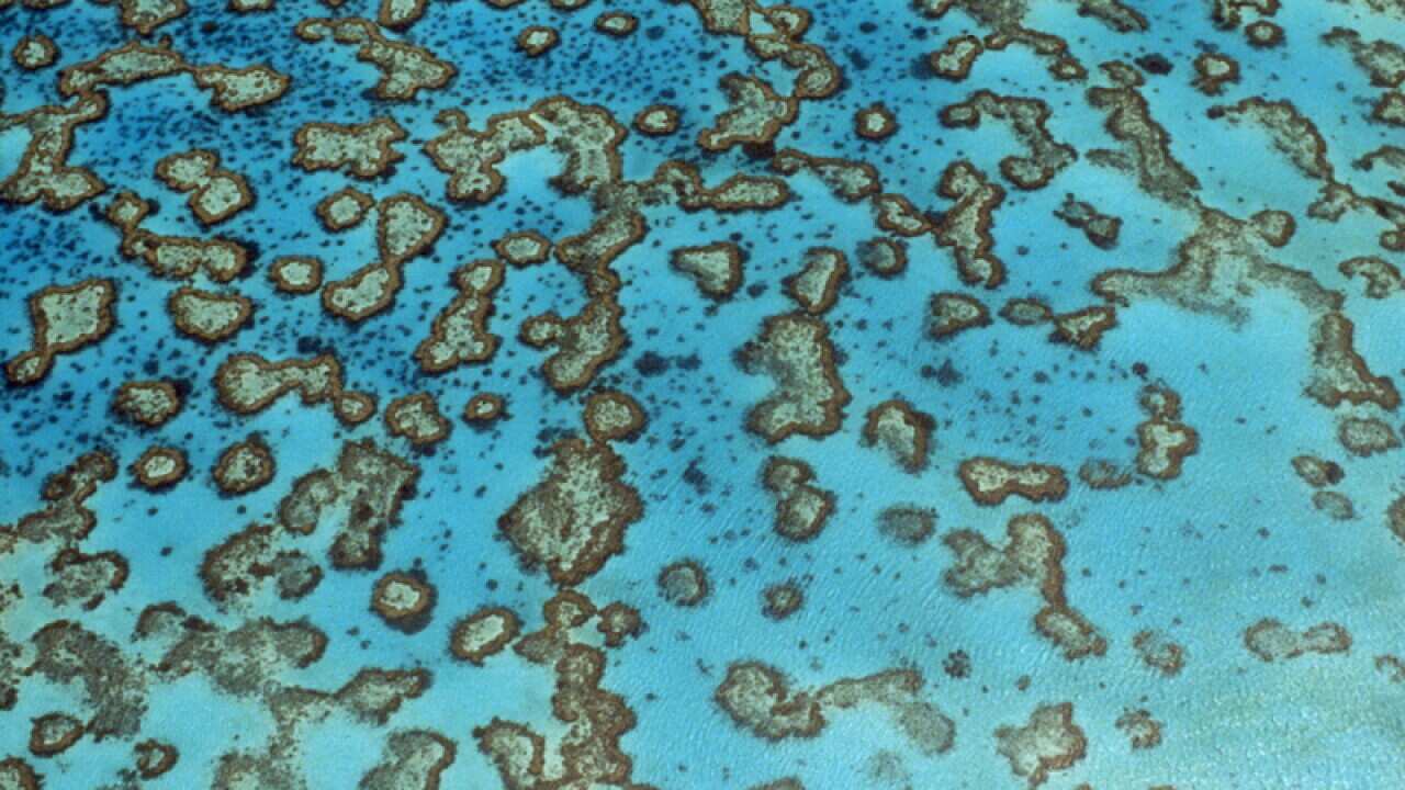 australia, queensland, great barrier reef, coral islets of the capricorn group.